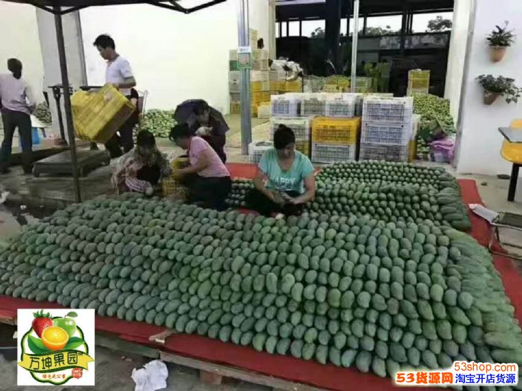 万坤果园水果微商代理和颐和果园微商哪个高级