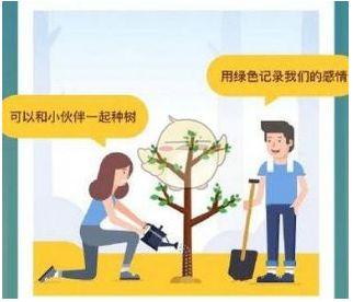 蚂蚁森林合种树怎么获取能量?只能浇水吗