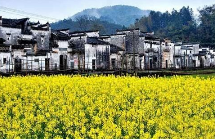 2018婺源油菜花门票多少钱