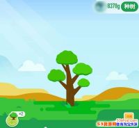 ����ɭ���ռ���ɫ����������������Щ������ô�֣�