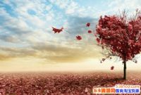 δ��ʮ�����ȱְҵ������Щ��û��ע��ı�����ҵ