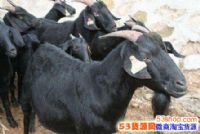 ֳҵʲô׬Ǯũ壿2017׬Ǯũ崴ҵĿ