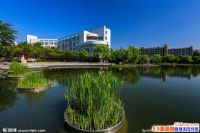 ����һ����ѧ����Щ��2017����һ����ѧ����