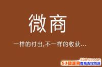 2017΢����ʲô��׬Ǯ��2017΢��������Ĳ�Ʒ