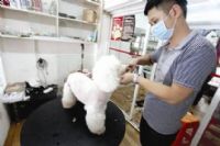 2017ʲôҵ׬Ǯ2017ʮűҵа