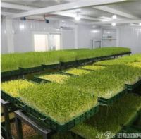 ũ崴ҵѡʲôĿãũ崴ҵµ