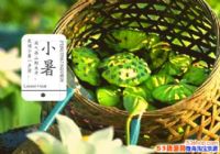 ����7��7����ʲô���ӣ�����7��7����ʲô����