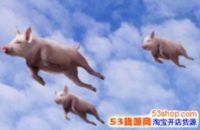 ������鷿ʲô��˼��������鷿��������ʲô��