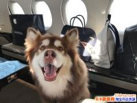 ��˼�����Ͱ����ҹ���ô���£���˼�����Ͱ����ҹ��ǲ������