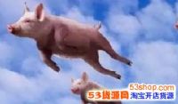 סȡ𣿷סôǮ
