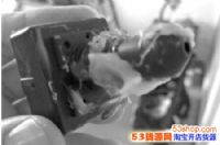 5G����ʲôʱ���ռ���5G����ʲôʱ��Ͷ�����ã�