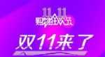 2017˫ʮһȯܷʹã˫ʮһȯʹù