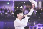 2017˫ʮһ�������ľٰ죿˫ʮһ���ᵼ����˭