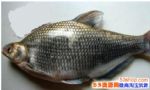 2018ũʲô¸죿ܷ_Ǯһ
