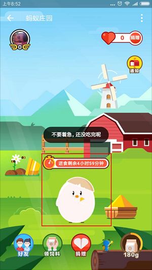 蚂蚁庄园怎么吃别人的饲料？蚂蚁庄园小鸡偷吃规律