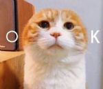 824ʲô˼824ʲô