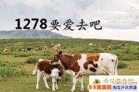 1278ʲô˼1278ôͻˣ