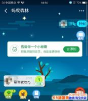 ����ɭ��֤����ʲô������ɭ��֤���������ʲô��