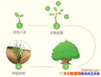 ����ɭ����ô��ȡ����_����ɭ����������ʱ����ʲôʱ��