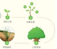 ����ɭ��������ʲô�ã�����ɭ������������Ǯ��