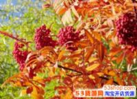 2018��������ʲôʱ��2018�������Ǽ��¼���