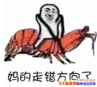 ʲô˼ʲô