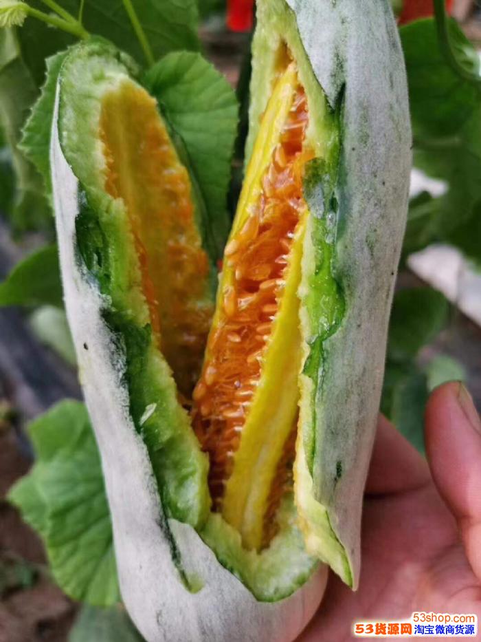 羊角蜜果园直发博洋61羊角蜜一件代发一手货源水果微商货源