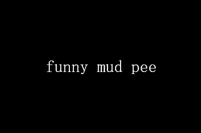 funny mud pee是什么意思中文翻译一览