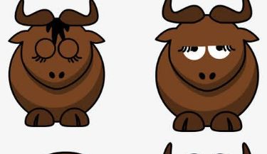 Сţ�������ʲô��˼