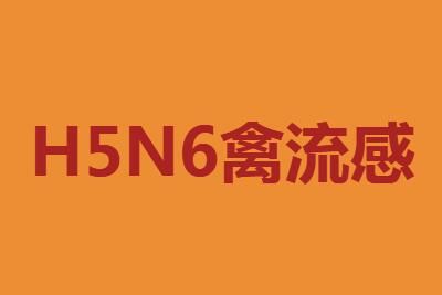 㶫ݸH5N6Ϣ