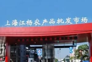 上海农副产品批发市场有哪些在哪里