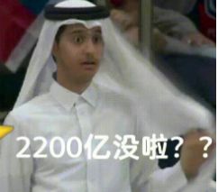 世界杯卡塔尔王子表情包图片大全高清版(卡塔尔世界杯32强对阵图)